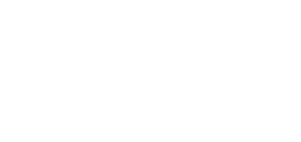 Wir sind Mailstore Partner